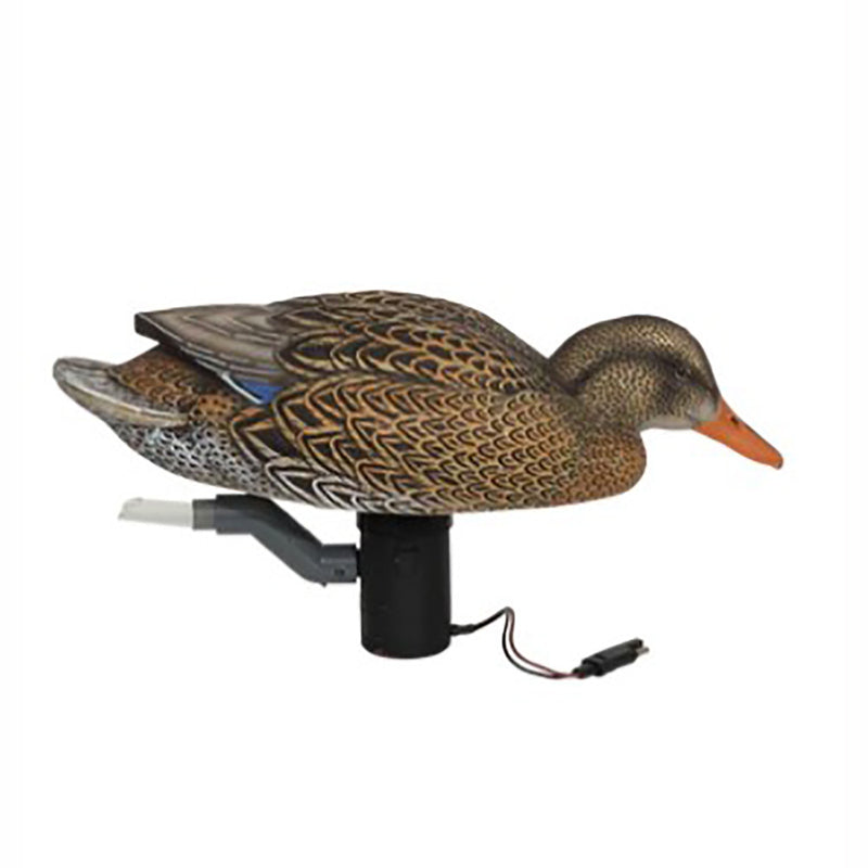 GHG Swimmer Mallard Hen